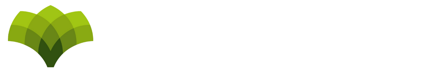 Health First Chiropractic and Wellness